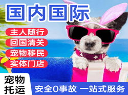 佛山机场邮寄国际宠物托运 【国